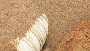 Pipeline Sand