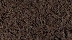 Top Soil